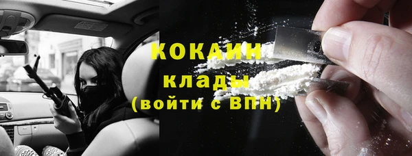 гидра Бронницы
