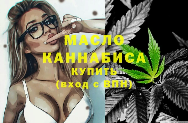 mix Инта