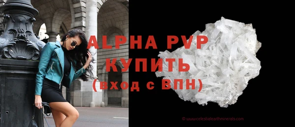 эйфоретик Бородино