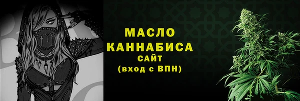 гидра Бронницы