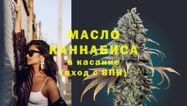 эйфоретик Бородино