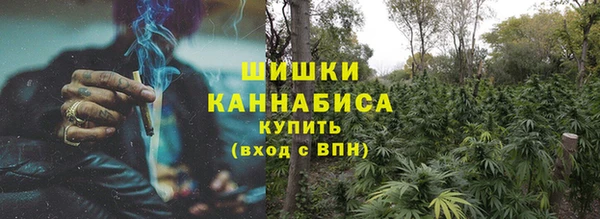 гидра Бронницы