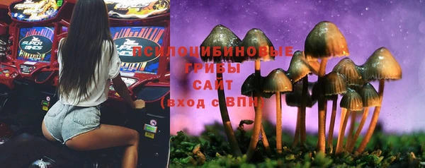 гидра Бронницы