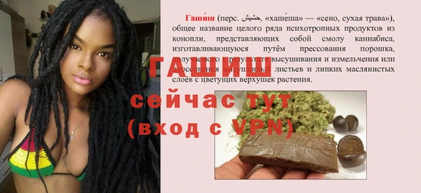 эйфоретик Бородино