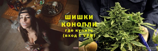 эйфоретик Иннополис