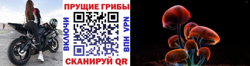 что такое   Мирный  Псилоцибиновые грибы Psilocybine cubensis 