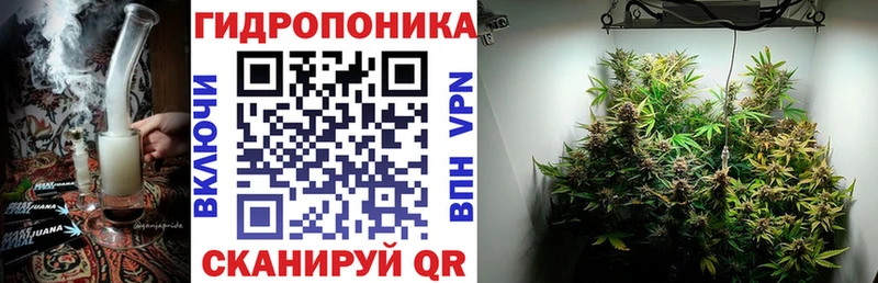 наркота  Мирный  Конопля SATIVA & INDICA 